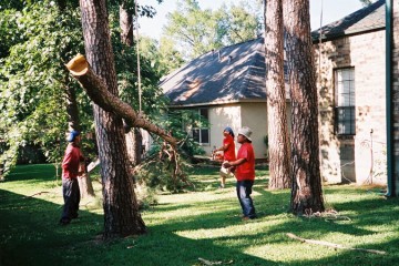 Tree Planting & Removal